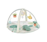 Skip Hop- Arco de Juego, Color Gimnasio Garden Oasis, 0 (CK-ke-153)