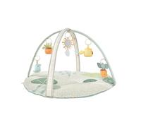 Skip Hop- Arco de Juego, Color Gimnasio Garden Oasis, 0 (CK-ke-153)