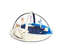 Skip Hop Celestial Dreams Activity Gym