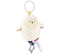 Skip Hop Celestial Flapping Owl