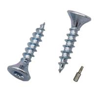 SKIR'CO (300 piezas) Tornillos para madera de acero galvanizado 4,0 x 20 mm, cabeza Torx, cabeza avellanada, tornillos para aglomerado