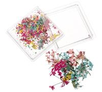 SKISUNO Caja de Flores Secas Accesorio Práctico para Uñas Estilo Japonés Color Adorno de Uñas Natural Diseño Delicado para Diy para Mujeres y Niñas