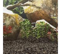 SKM Rocas volcánicas Negras 25 kg 5-8 cm,Producto para Mascotas y Animales,Productos para Mascotas,Productos para Peces,Decoración de acuarios,Negro,25.9 kg,155322