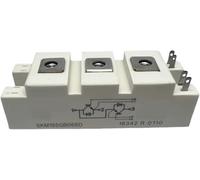 SKM195GB066D Thyristor Power Module - High Efficiency Transistor for Industrial Applications