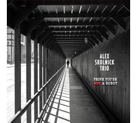 Skolnick, Alex Trio - Prove You're Not a Robot
