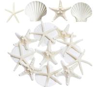 SKOOLOVE 12 conchas mixtas de estrellas de mar y vieiras de 6 a 10 cm para decoración de boda