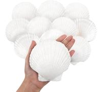 SKOOLOVE Concha de Vieiras Grande 10 Pieza Blancas Conchas de Mar Decoracion Naturales para Manualidades Bricolaje Barbacoa(10-13 cm)