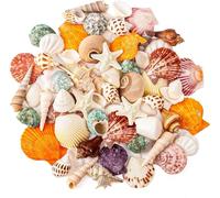 SKOOLOVE Juego de conchas naturales de 2 a 6,5 cm, conchas de caracol y estrellas de mar, para fiestas en la playa, manualidades, acuarios, rellenos de jarrones y decoraciones de boda
