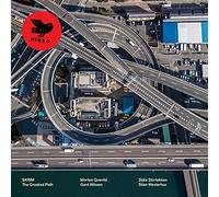 Skrim - The Crooked Path [Vinilo]