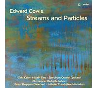 Skærved - Streams and Particles