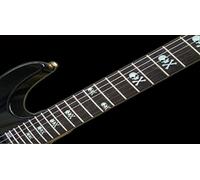 Skull Bones Fret Markers Inlay Stickers pegatinas Guitar & Bass Diapason