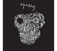 Skull Defects,the (Feat. Daniel Higgs & Zomes) - 2013-3012 [Vinilo]