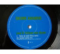 Skunk Anansie - SKUNK ANANSIE You'll Follow Me Down 12" promo