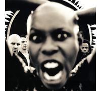 Skunk Anansie Stoosh (Vinyl) (Importación USA)