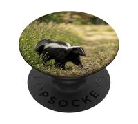 Skunk Wildlife Animal Bosque Prado Hierba Camino Escena Diseño PopSockets PopGrip Adhesivo