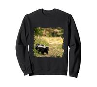 Skunk Wildlife Animal Bosque Prado Hierba Camino Escena Diseño Sudadera