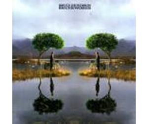 Skunkworks by Bruce Dickinson (1996-02-02)