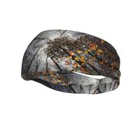 Sky Through The Tree Deportes Saludables Decorativa Moda Deportes Absorbente Sudor Diadema, Diadema, Buena Elasticidad, Se Puede Utilizar En Todas Las Temporadas, Tanto Hombres Como Mujeres Pueden