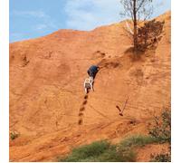 Caroline – Skydiving Onto the Library Roof / Everything for Everyone – Vinilo (Importación USA)