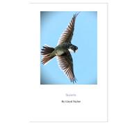 Skylarks (Where But In The Northwest Territories)