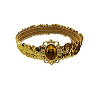 SkyPOOU Diademas de lentejuelas brillantes con diamantes de imitación, bandas elásticas para el cabello para mujeres, accesorios para el cabello, uso de fiesta, dorado: aprox. 55-60 cm