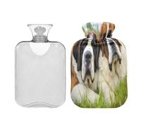 SKYSHU Botella de agua caliente para perro, bolsa de agua caliente transparente a prueba de fugas de 1 litro, lavable, resistente al calor, con funda de felpa suave para calambres menstruales, alivio