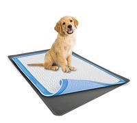 Skywin Disposable Pet Training Pad