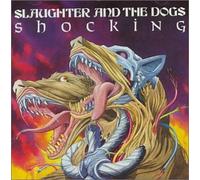 Slaughter & The Dogs - Shocking