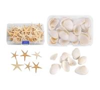 SLAXJNE 50 Piezas De Decoración De Estrellas De Mar, 12 Piezas De Decoración De Conchas, Decoración De Acuarios, Estrellas De Mar, Decoración del Hogar Y Manualidades De Bricolaje
