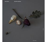 SLAY ME IN MY SLEEP(IMPORT)