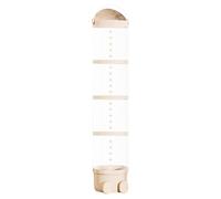 Sleek Transparent Design Stuffed Animal Storage Tube, Transparent Toy Storage Box, Plush Doll Organizer, Toy Display Storage Box for Toys, Bed Room, Toys Display Cabinet, Green, White Color