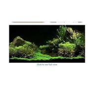 SLEEKEE 2 Pegatinas para Acuarios, Raspador Negro De 1 Pieza, Fondo De Acuario, Pintura Autoadhesiva, Decoración del Hogar, Fácil Instalación, Raspador De Película para Papel Tapiz.