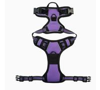 SLEEKEE Correa para Perro De 1 Pieza, Cepillo De Dientes para Perros De 1 Pieza, Correa para Mascotas Antitirones, Simple Y Fácil De Transportar, Limpieza Bucal Y Cuidado De Mascotas.