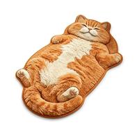 Sleeping Cat Rug Floor Mat, Large Carpet Cartoon Mats，G：60*90cm | Soft Faux Cashmere, Non-Slip Dotted Backing, Machine Washable, Cute Animal Area Rugs Gift for Bedside Entryway Bathroom