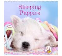 Sleeping Puppies (Calendar 2026 12" x 24" / 30 x 60 cm (abierto)) CALVENDO 12 Month Wall Calendar