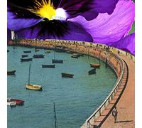 Sleeping States - Old vs New EP b/w Through til the Morning (Brian Deck remix) EP [Vinilo]