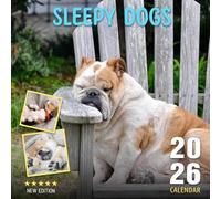 Sleepy Dogs Calendar 2026: Twelve months of drowsy pups in adorable resting moments