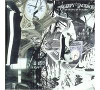 Sleepy Jackson, The - Devil Was in My Yard