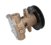 SLGtuCV Bomba de Agua de mar for generador GM46946 344371 Sherwood G910P JMP JPR-SE7110P Reemplazo de Accesorios