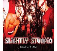 Slightly stoopid - Everything you need [Vinilo]
