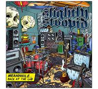 Slightly Stoopid – Meanwhile... Back at the Lab – Vinilo (Importación USA)