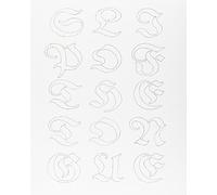 Slip of the tongue. Catalogo della mostra (Venezia, 12 aprile 2015-10 gennaio 2016). Ediz. illustrata (Cataloghi)