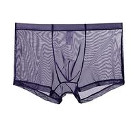Slips Transparentes de Seda de Hielo para Hombre, Calzoncillos de Malla Tiro Bajo Transpirables, Ropa Interior Erótica y Ligera para Verano Noche