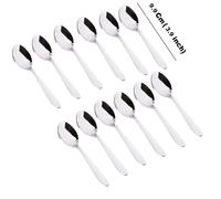 SLNDOKTg Stainless Steel Spice Box Spoons Set of 12 (Silver)