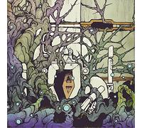 Slomatics - Future Echo Returns (green Vinyl) [VINYL] [Vinilo]