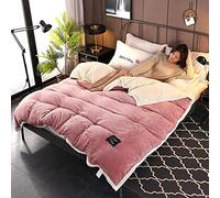 SLOPSS Bedding 4 Piece Bed Sheet Set Thickening Warm Duvet Solid Color Flannel/Velvet Winter Double Twin Full Queen King Size Quilt Cover- LAN_150x200cm (Dou Sha 220x240cm 1pcs)