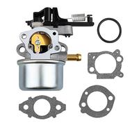 Slother 593599 - Carburador de repuesto para lavadora a presión 2700-3000Psi Troy-Bilt 7.75Hp 8.75Hp motores B&S 594287 799248 591597 591137 590780 796608 59338 0