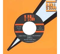 Slow Slushy Boys - When Will We Get the.. [Vinilo]