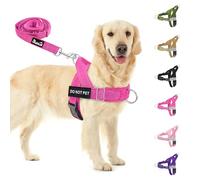 SlowTon Conjunto de Arnés y Correa para Perros, Sin Tirones, Ajustable en Cuello y Pecho, Arnés Antisofoco a Prueba de Escape, Correa de Perro de 5,9 pies, Táctico Militar (Rojo Rosa, XL)
