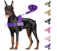 SlowTon Conjunto de Arnés y Correa para Perros, Sin Tirones, Ajustable en Cuello y Pecho, Arnés Antisofoco a Prueba de Escape, Correa de Perro de 5,9 pies, Táctico Militar